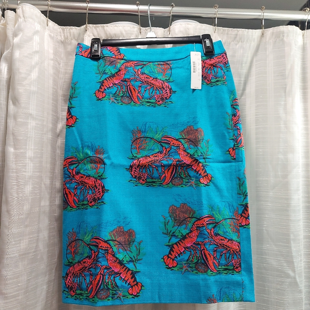 💗 J.Crew midi skirt, new, Size 2